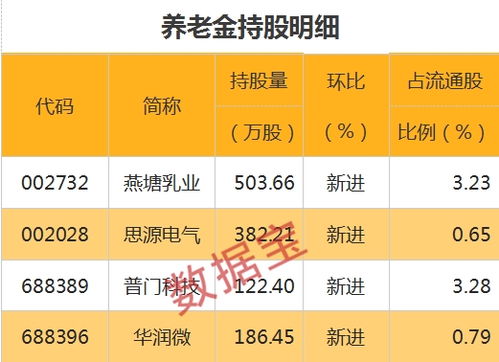 国家队重仓股曝光 社保 养老金同时盯上两股 包括一只半导体龙头股