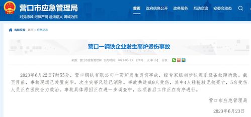 4死5伤 辽宁一钢铁厂发生烫伤事故,此前被限制高消费