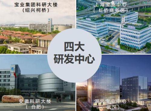 序启2023新篇章丨 稳健派 宝业的进退之道