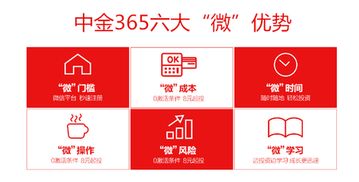 微盘指导 什么是微盘 微盘做单技巧你会吗
