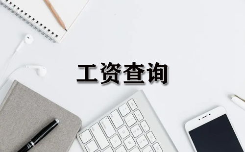 工资查询大全 工资查询哪个好