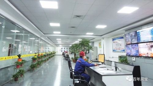 凤宝公司常务副总经理李俊奎组织对炼钢厂进行安全联合检查