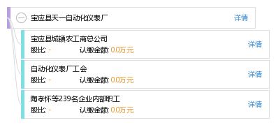 宝应县天一自动化仪表厂